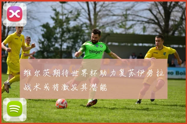 维尔茨期待世界杯助力复苏伊劳拉战术或将激发其潜能
